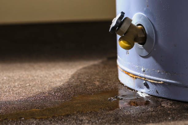  Oreana, IL Water damage restoration Pros