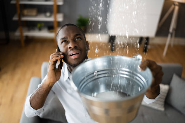 Best Water damage restoration near me  in Oreana, IL