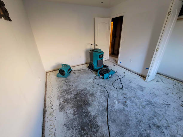 Best Residential water damage restoration  in Oreana, IL