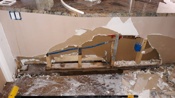 Best 24/7 water damage repair  in Oreana, IL