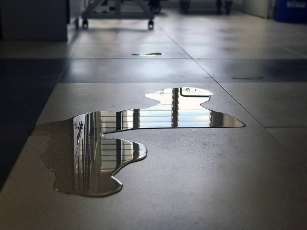 Best Water damage restoration specialists  in Oreana, IL