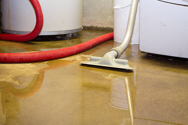 Best Sewage cleanup and water damage restoration  in Oreana, IL