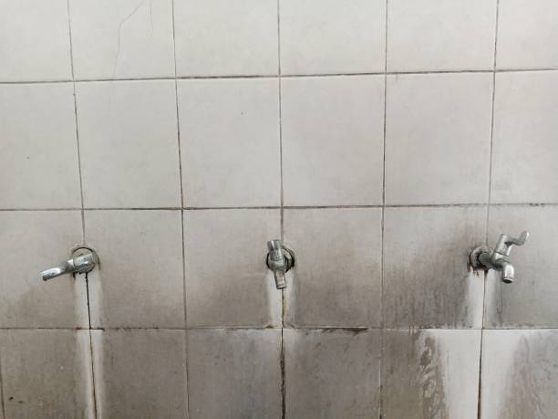 Best Ceiling water damage repair  in Oreana, IL