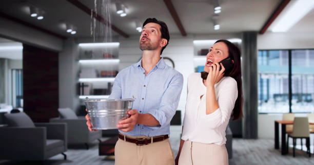 Best Fire Damage Restoration  in Oreana, IL