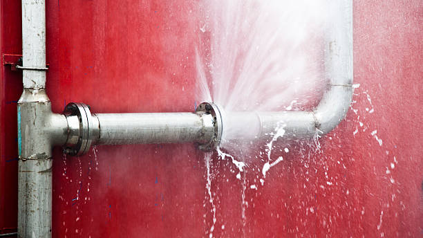 Best Water damage contractors near me  in Oreana, IL